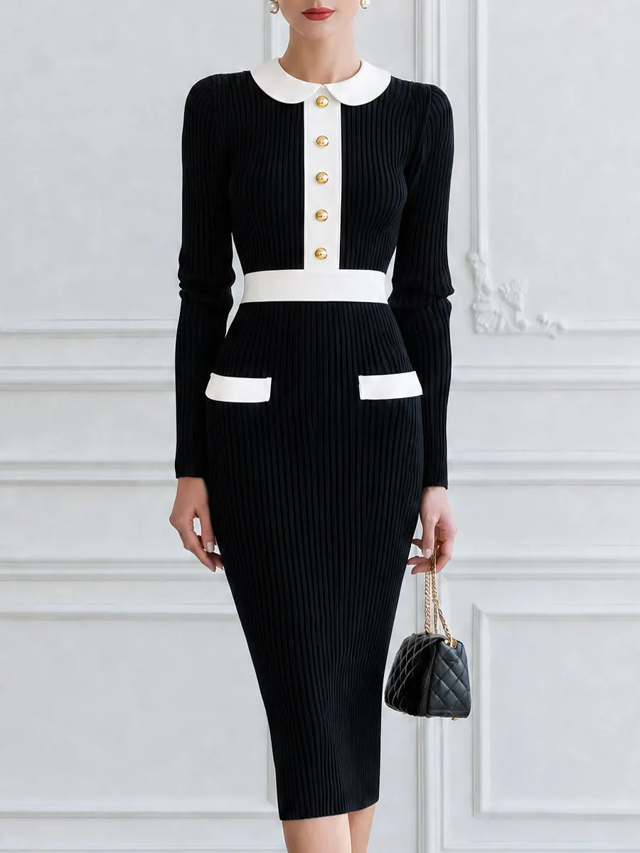 Contrast Peter Pan Collar Ribbed Knit Bodycon Midi Dress with Gold Buttons