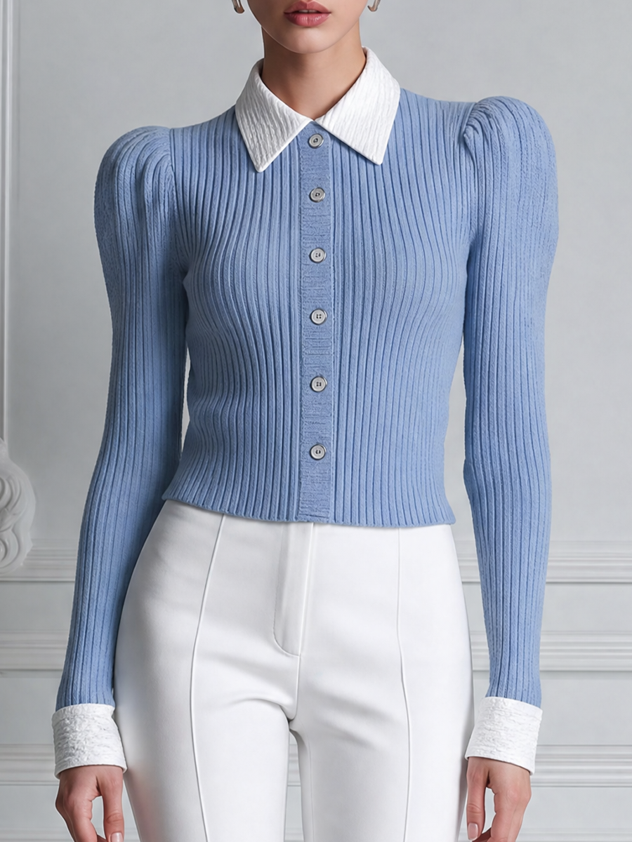 Blue Preppy Ribbed Knit Button Front Blouse