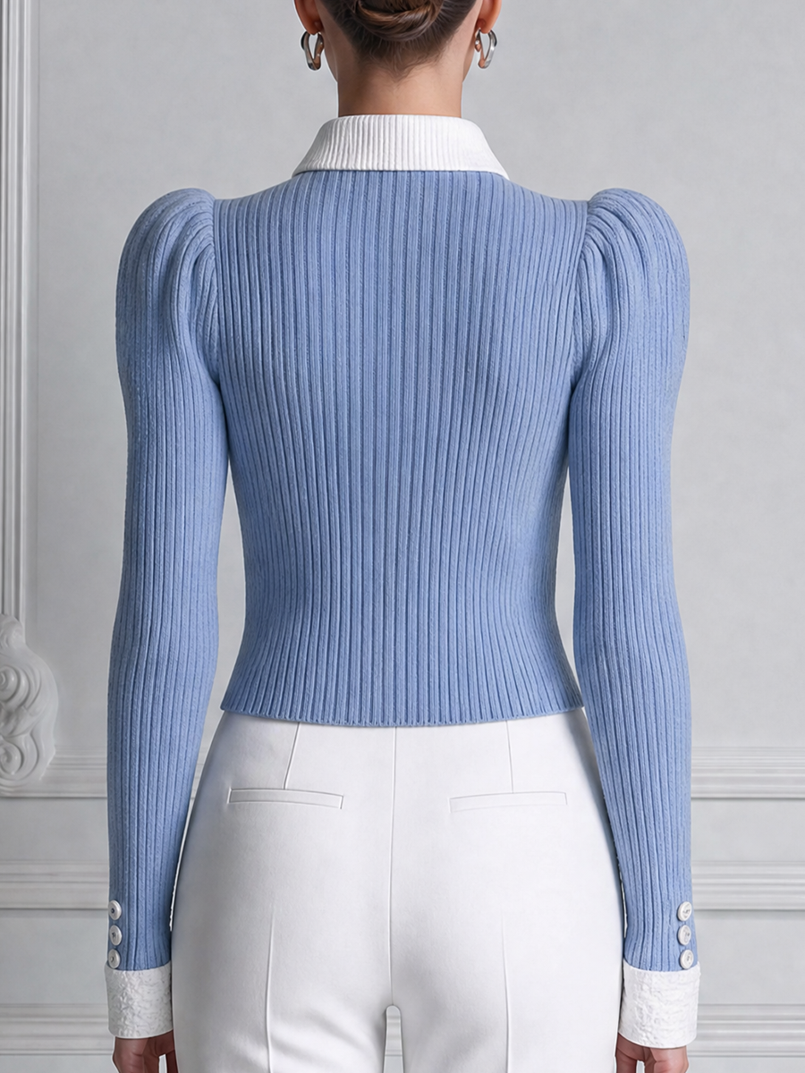Blue Preppy Ribbed Knit Button Front Blouse