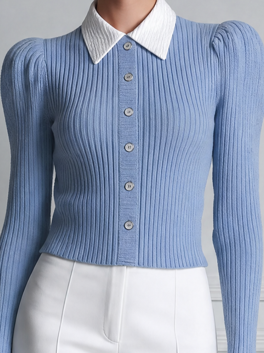 Blue Preppy Ribbed Knit Button Front Blouse