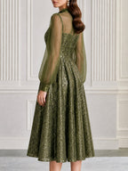 Sequin Illusion Neckline Sheer Sleeves A-Line Midi Dress